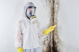 Best Mold Removal for HVAC Installations in Lanai City, HI